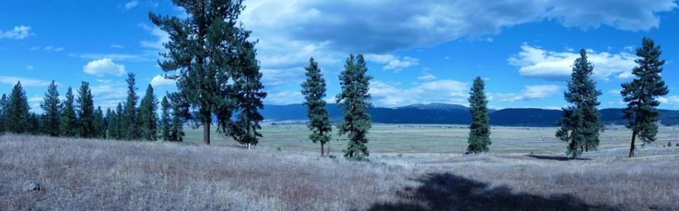 Lot 24 Timber Ridge Drive 24, New Meadows, Idaho 83654, Amerika Birleşik Devletleri