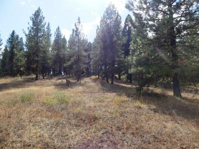 Lot 24 Timber Ridge Drive 24, New Meadows, Idaho 83654, Amerika Birleşik Devletleri