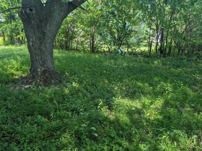 1360 E Sherman Street, Hammond, 印第安纳州 46320, 美国