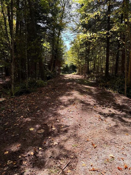 Ch. Daigneault S., La Minerve, Québec J0T 1S0, Canada