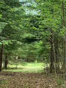 Ch. Daigneault S., La Minerve, Québec J0T 1S0, Canada