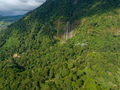 San Isidro Del General Pérez Zeledón, San José 00001, Costa Rica