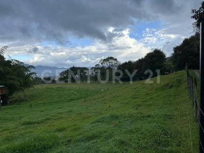 La Ceja, Antioquia 00001, Colombia