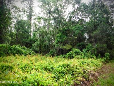 106 FLORA Terrace, Florahome, Florida 32140