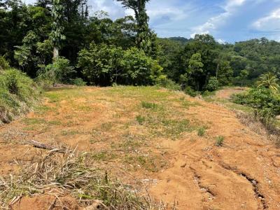 Uvita Bahía Ballena Osa, Puntarenas 00001, Costa Rica