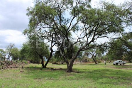 PISCIS LOTE 4,, Ixtlahuacan De Los Membrillos, Jalisco 45860, México