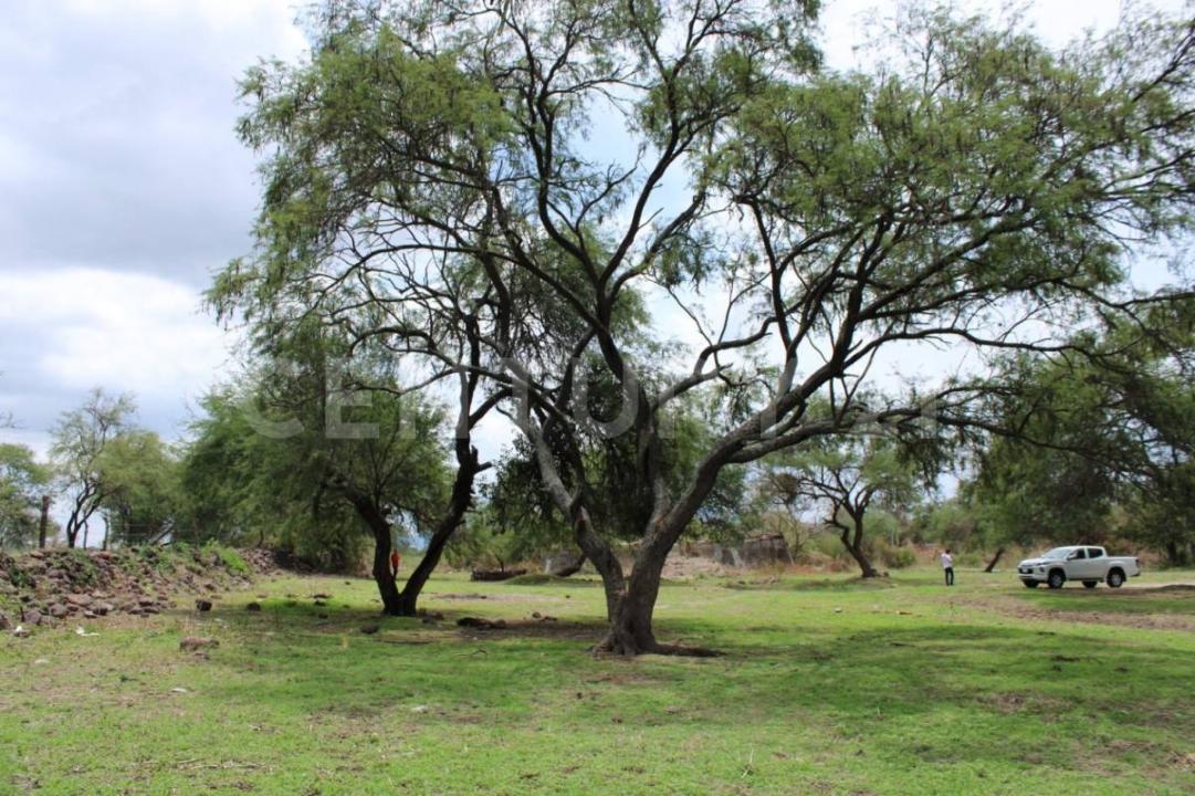 PISCIS LOTE 4,, Ixtlahuacan De Los Membrillos, 哈利斯科 45860, 墨西哥