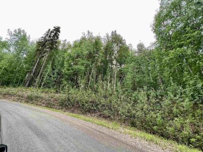 NHN WHITESIDE COURT Lot 15, Fairbanks, Alaska 99709, Amerika Birleşik Devletleri