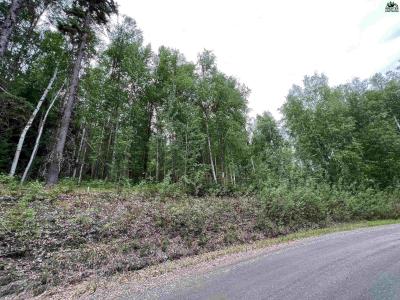 NHN WHITESIDE COURT Lot 15, Fairbanks, Alaska 99709, Amerika Birleşik Devletleri