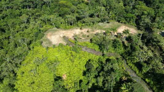 Ojochal Puerto Cortés Osa, Puntarenas 00001, 哥斯达黎加