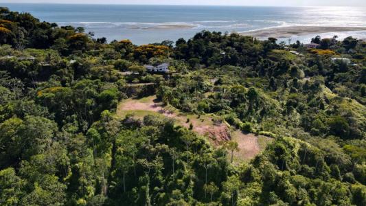 Ojochal Puerto Cortés Osa, Puntarenas 00001, 哥斯达黎加