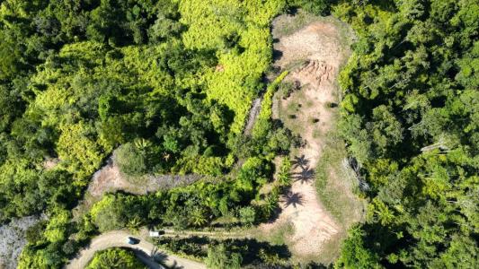 Ojochal Puerto Cortés Osa, Puntarenas 00001, 哥斯达黎加