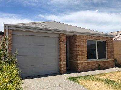61 Warrilow Loop, Canning Vale, WA 6155, Australia