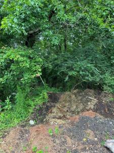 4225 Clifton Street, Suffolk, Virginia 23435, USA