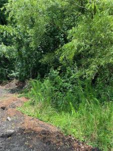 .18AC Clifton Street, Suffolk, Virginia 23435, USA