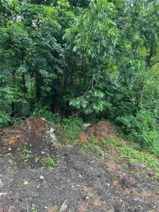 .18AC Clifton Street, Suffolk, Virginia 23435, USA