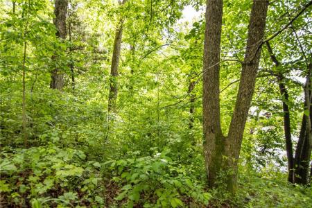 0 Wa Ha Ma Court, Camdenton, Missouri 65020