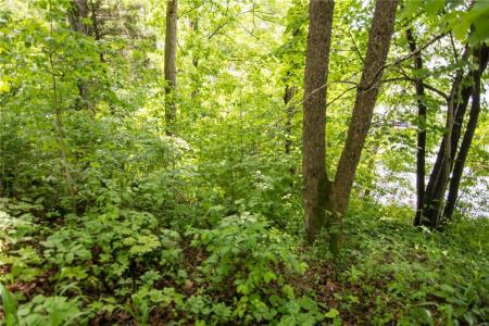 0 Wa Ha Ma Court, Camdenton, Missouri 65020