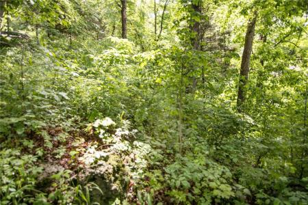 0 Wa Ha Ma Court, Camdenton, Missouri 65020