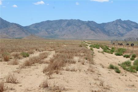 000 N Velvet Rose Road, Kingman, אריזונה 86401, ארצות הברית של אמריקה