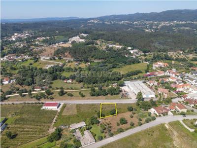 Vila Nova De Poiares, Coimbra 3350-071, Portugal