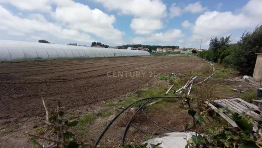 Póvoa de Varzim, Porto 4495-366, Portugal