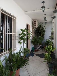 Prolongación Avenida Peñalver G, Turmero, Aragua 2106, 委内瑞拉