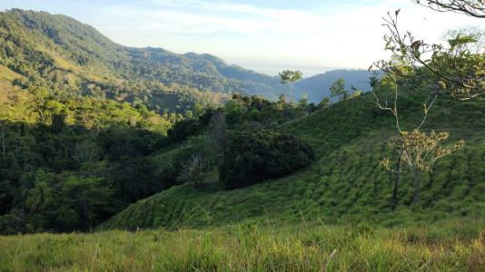 Dominical Osa, Puntarenas 00001, Costa Rica