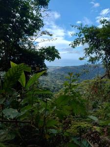 Dominical Osa, Puntarenas 00001, Costa Rica