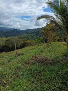 Dominical Osa, Puntarenas 00001, Costa Rica