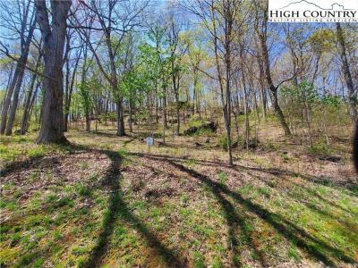 Tbd Soothing Waters Drive, Todd, NC 28684, USA