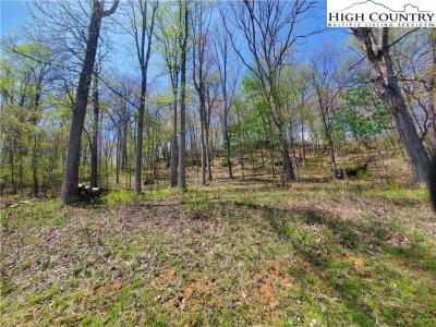 Tbd Soothing Waters Drive, Todd, צפון קרוליינה 28684, ארצות הברית של אמריקה 