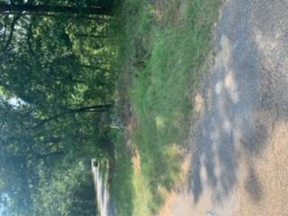 6.5 acres Ridgeview, Camden, Arkansas 71701, Estados Unidos