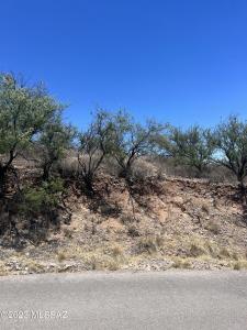 450 Camino Hombre De Oro 42, Rio Rico, Arizona 85648, USA