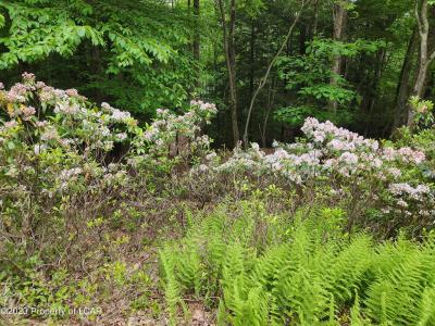 60 Shade Tree Road, White Haven, Pennsylvania 18661, Estados Unidos