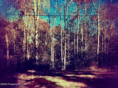 60 Shade Tree Road, White Haven, Pennsylvania 18661, Estados Unidos