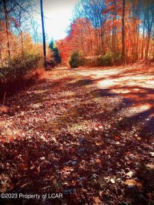 60 Shade Tree Road, White Haven, Pennsylvania 18661, Estados Unidos