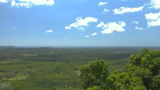Quepos Aguirre, Puntarenas 00001, Costa Rica