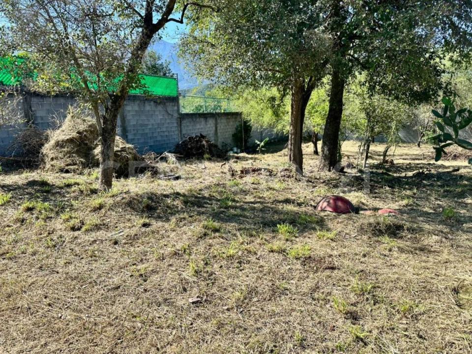 PRIVADA ENDELIA FLORES GARZA 317,, Santiago, Nuevo León 67300, Messico