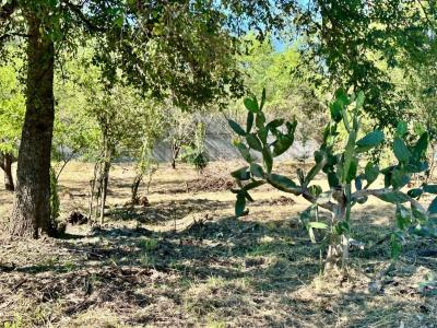 PRIVADA ENDELIA FLORES GARZA 317,, Santiago, Nuevo León 67300, Messico