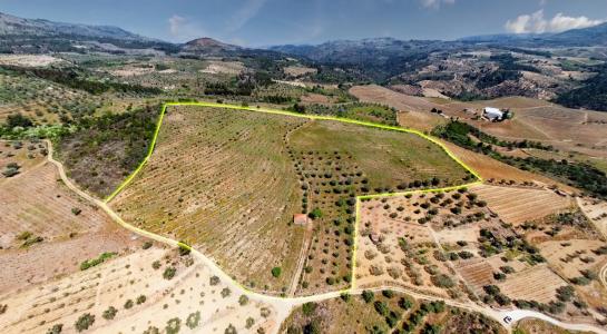 Tabuaço, Viseu 5120-351, Portugal