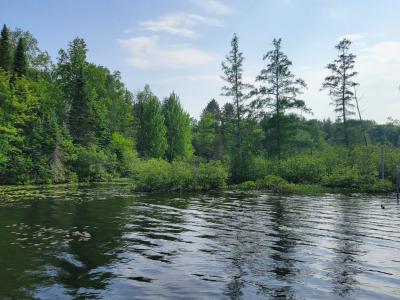 19308 Mamie Lake Rd., Watersmeet, Michigan 49969, USA