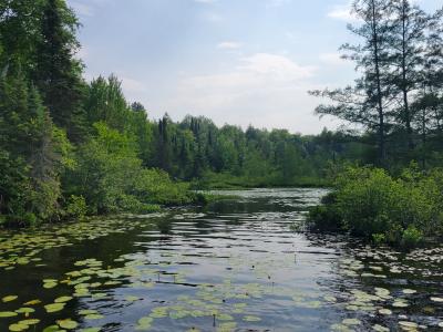 19308 Mamie Lake Rd., Watersmeet, 密歇根州 49969, 美国