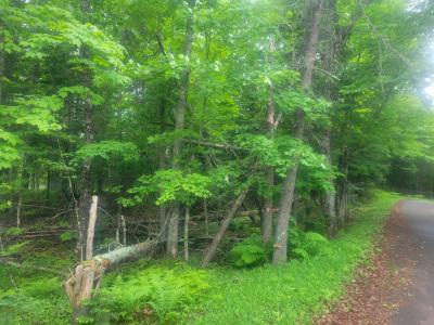 19308 Mamie Lake Rd., Watersmeet, 密歇根州 49969, 美国