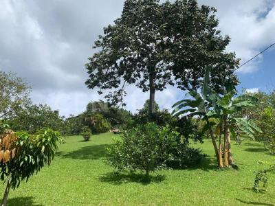 Dagua, Valle Del Cauca 00001, Colombia