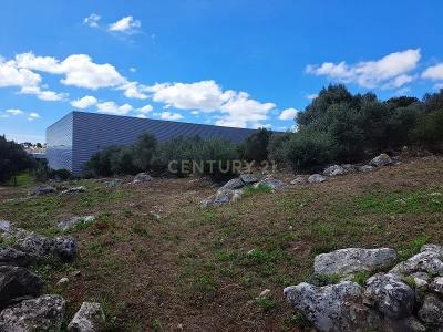 Cascais, Lisbon 2645-019, Portugal