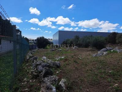 Cascais, Lisbon 2645-019, Portugal