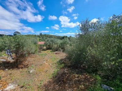 Cascais, Lisbon 2645-019, Portugal