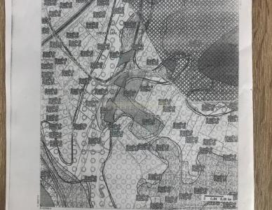 Cartaxo, 圣塔伦 2070-365, 葡萄牙