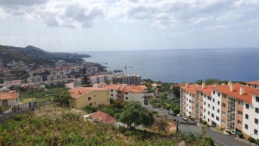 Câmara De Lobos, Madeira 9300-163, Portugal